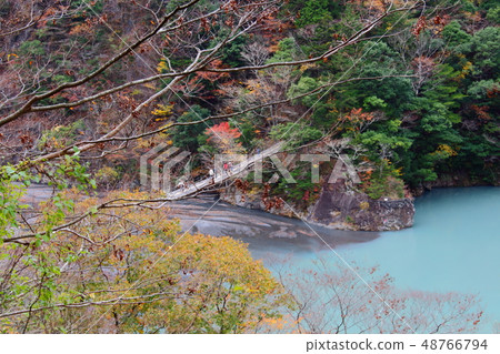 Dream suspension bridge and colored leaves 48766794