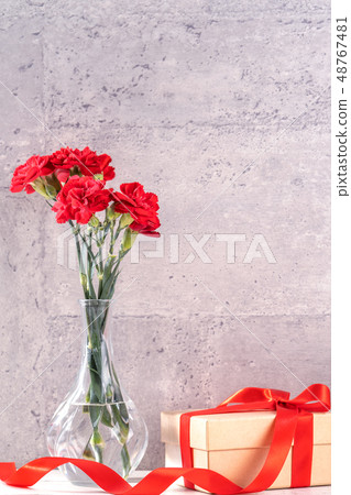 Mother's Day Carnation Gifts カーネーション 清水模 モックアップ Mother's Day carnation 48767481