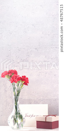 Mother's Day Carnation Gifts カーネーション 清水模 モックアップ Mother's Day carnation Mother's Day Carnation Gifts カーネーション 清水模 モックアップ Mother's Day carnation 48767515