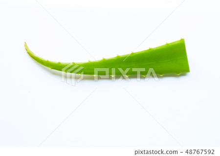 Aloe vera fresh leaf on white Aloe vera fresh leaf on white 48767592