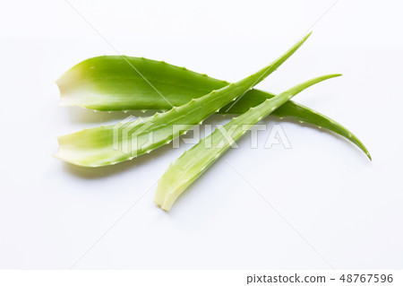 Aloe vera is a popular medicinal plant for health 48767596