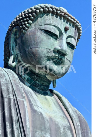 The Great Buddha of Kamakura The Great Buddha of Kamakura 48769757