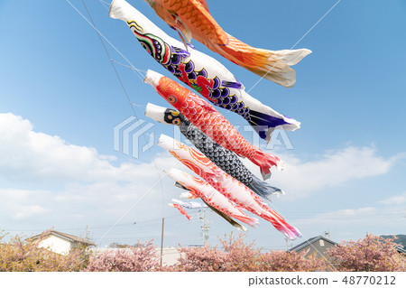 Tadakawa的櫻花和鯉魚旗 Tadakawa的櫻花和鯉魚旗 48770212