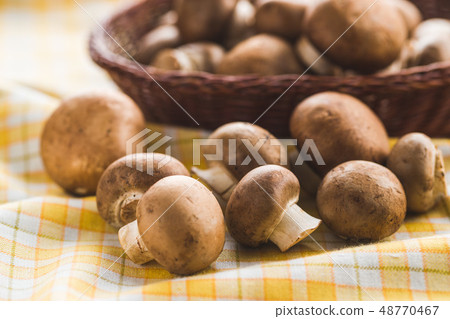 Fresh champignon mushrooms. Fresh champignon mushrooms. 48770467