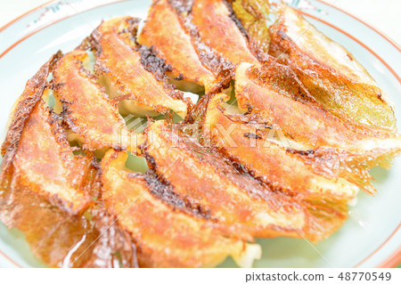美味的煎餃 美味的煎餃 48770549