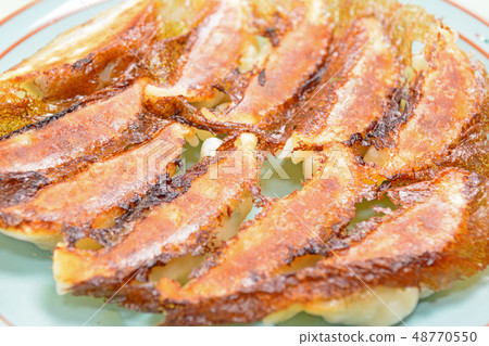 Delicious pan-fried dumplings 48770550