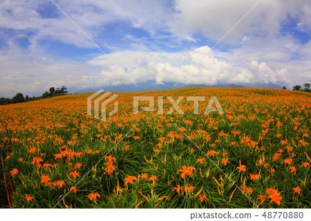 Sixty Stone Mountain 48770880