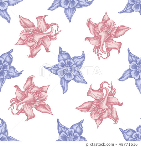 Seamless pattern with hand drawn pastel aquilegia Seamless pattern with hand drawn pastel aquilegia 48771616