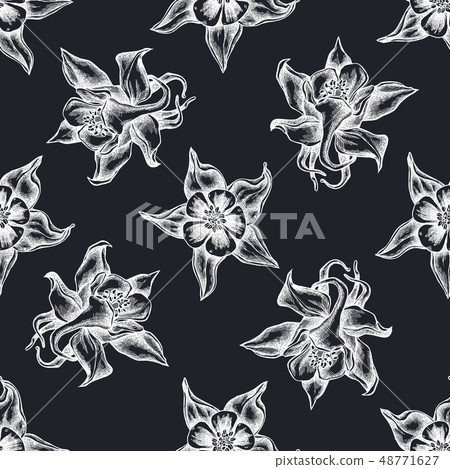 Seamless pattern with hand drawn chalk aquilegia 48771627