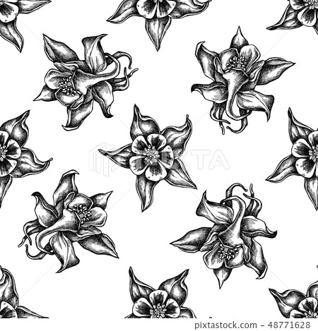 Seamless pattern with black and white aquilegia Seamless pattern with black and white aquilegia 48771628