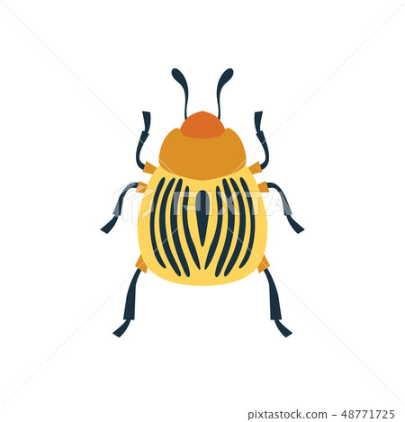 Colorado beetle icon Colorado beetle icon 48771725