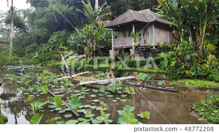 Bali traditional house framed by bamboo trees Bali traditional house framed by bamboo trees 48772208