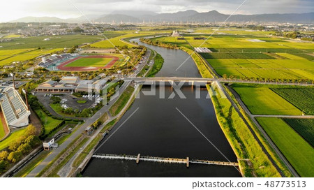 Track and field in the evening 48773513