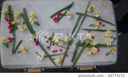 4歲的孫子的遊戲 48774252