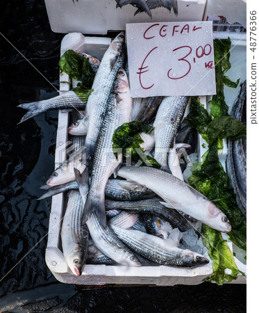 Fish market in Naples 48776366