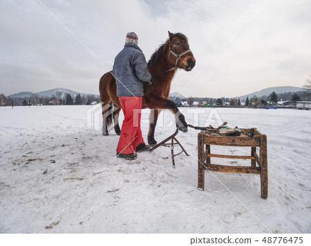 Farm staff prepare horse for hooves clearing by Farm staff prepare horse for hooves clearing by 48776475