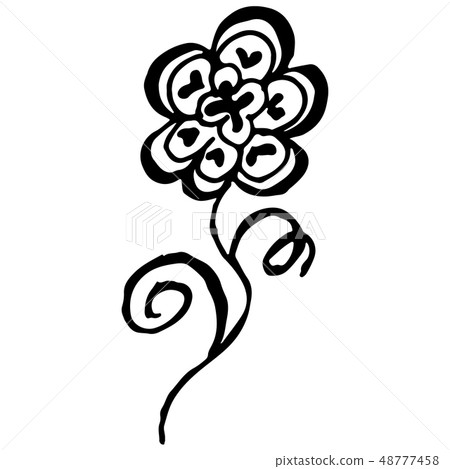 Engraved Vector Hand Drawn Illustrations Of 48777458