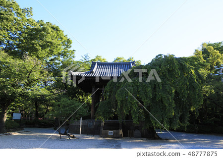 Tokyo Tower and Zojoji 48777875