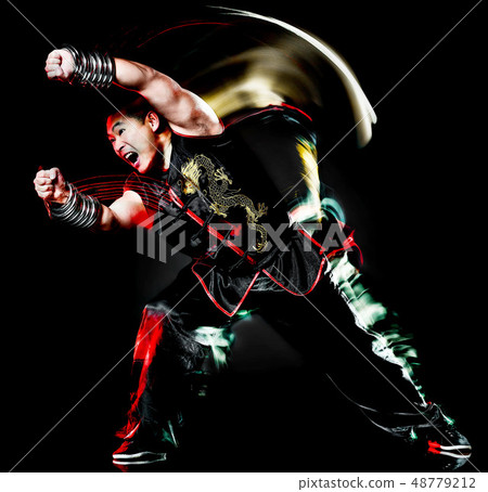 whushu chinese boxing kung fu Hung Gar fighter isolated man 48779212