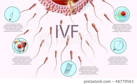 Human Reproductive Medicine Banner with Copy Space 48779563
