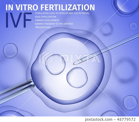 Professional In Vitro Fertilisation Process Banner 48779572