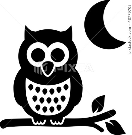 Owl at night with moon 48779702