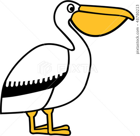 Cartoon Pelican Cartoon Pelican 48780213