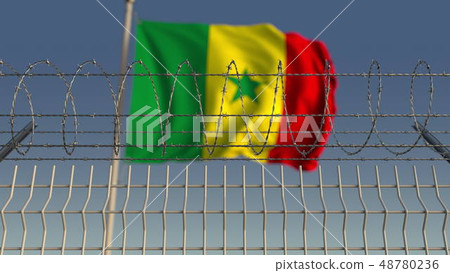 Barbed wire against waving flag of Senegal. 3D rendering Barbed wire against waving flag of Senegal. 3D rendering 48780236