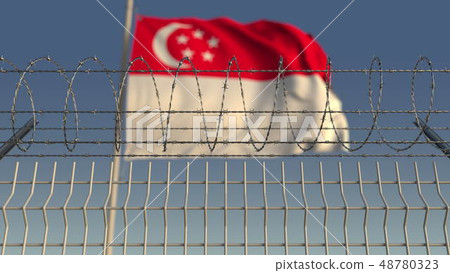 Barbed wire against waving flag of Singapore. 3D rendering 48780323