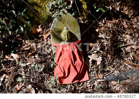 Jakuson of the side of the temple Jakuson of the side of the temple 48780327