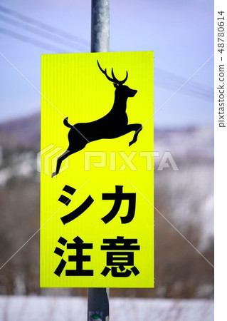 路標鹿小心 48780614