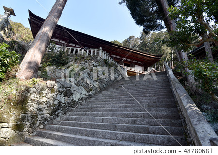 Majiryuji主殿 48780681