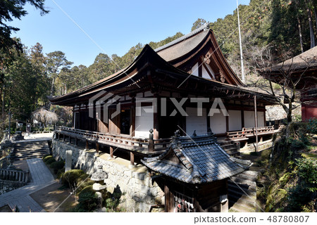 Majiryuji主殿 48780807