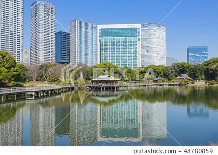 高層建築和茶館反映在池塘里 高層建築和茶館反映在池塘里 48780859