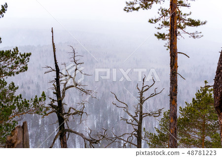 view from the mountain to the forest during a view from the mountain to the forest during a 48781223