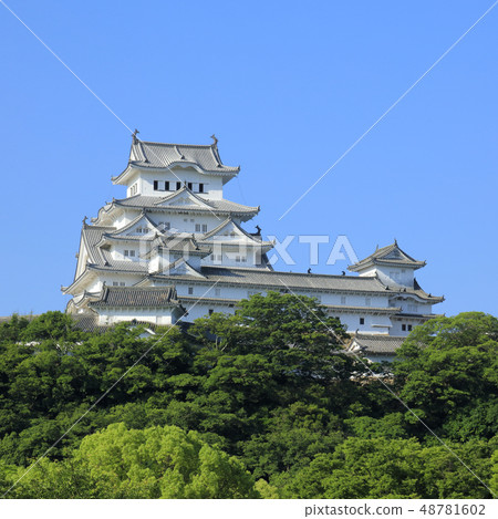 Himeji Castle north side (from Sir Topia Memorial Park) 48781602