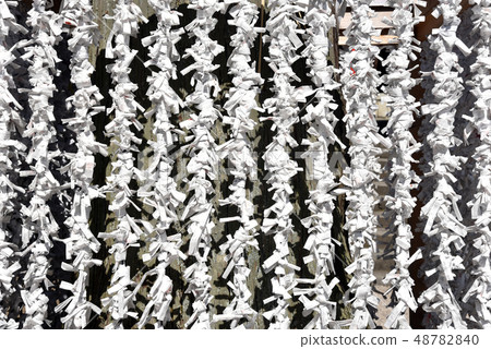 Hidaka Hachimangu Shrine Omikuji 48782840