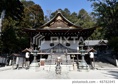 Hidaka Hachimangu Shrine 48782845