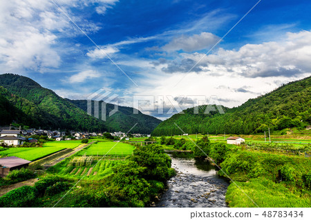 農村景觀 48783434