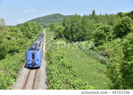 Limited express Sarobetsu 48783706