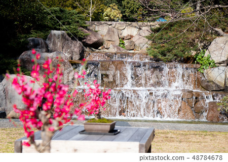 Suma Rikyu公園的Rumi Suma Rikyu公園的Rumi 48784678