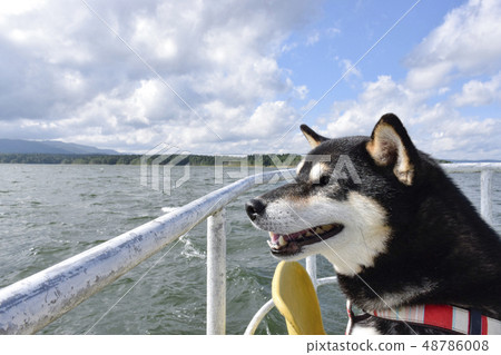 Black cruising to cruise Black cruising to cruise 48786008