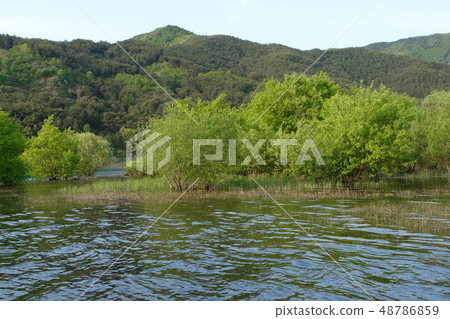 Gwangju, Damyang, Jeonnam Gwangju, Damyang, Jeonnam 48786859