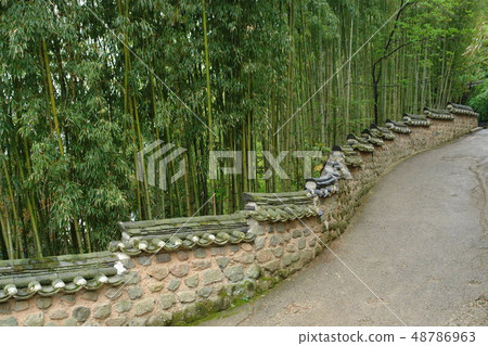 釜山金井區Bumsa寺 48786963