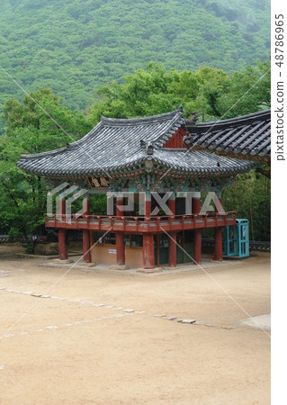 釜山金井區Bumsa寺 釜山金井區Bumsa寺 48786965