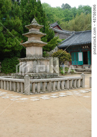 釜山金井區Bumsa寺 釜山金井區Bumsa寺 48786966