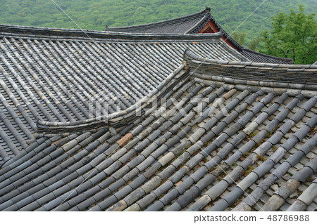 釜山金井區Bumsa寺 48786988
