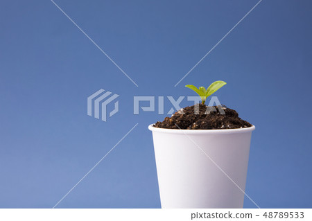Recycling concept, Garbage for recycling with recycling symbol. Environmental protection concept photo. 122 Recycling concept, Garbage for recycling with recycling symbol. Environmental protection concept photo. 122 48789533