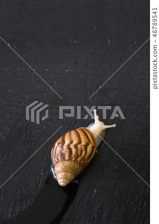 Recycling concept, Garbage for recycling with recycling symbol. Environmental protection concept photo. 117 Recycling concept, Garbage for recycling with recycling symbol. Environmental protection concept photo. 117 48789541