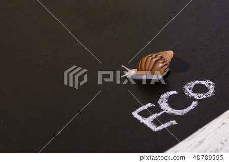 Recycling concept, Garbage for recycling with recycling symbol. Environmental protection concept photo. 074 Recycling concept, Garbage for recycling with recycling symbol. Environmental protection concept photo. 074 48789595